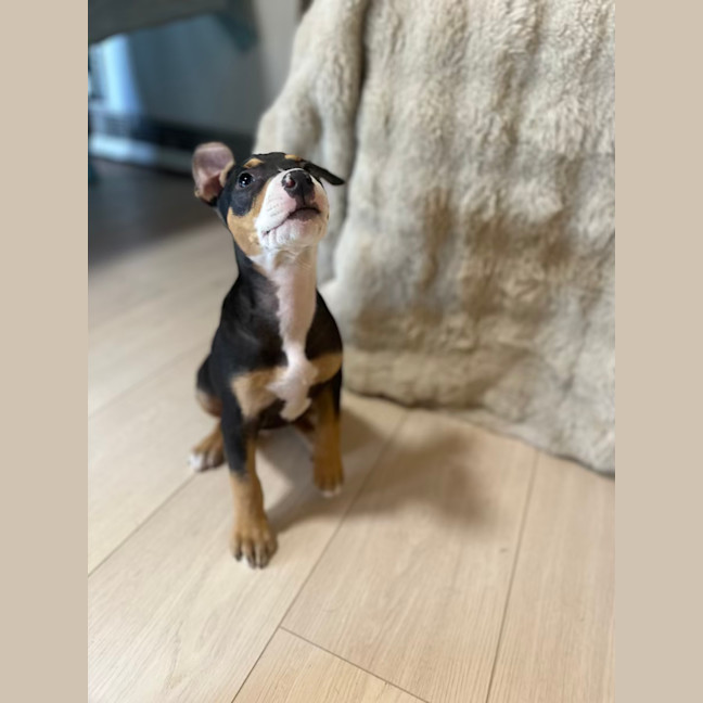 Photo of Soul Sister