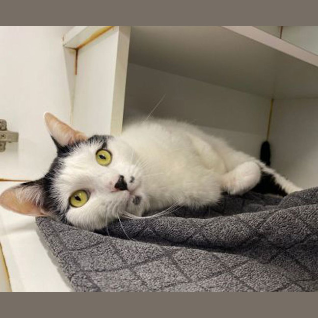 Photo of Kiki