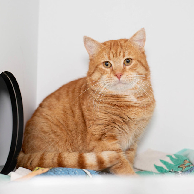 Photo of Nudge