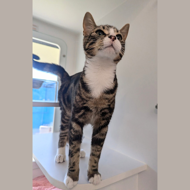 Photo of Finley
