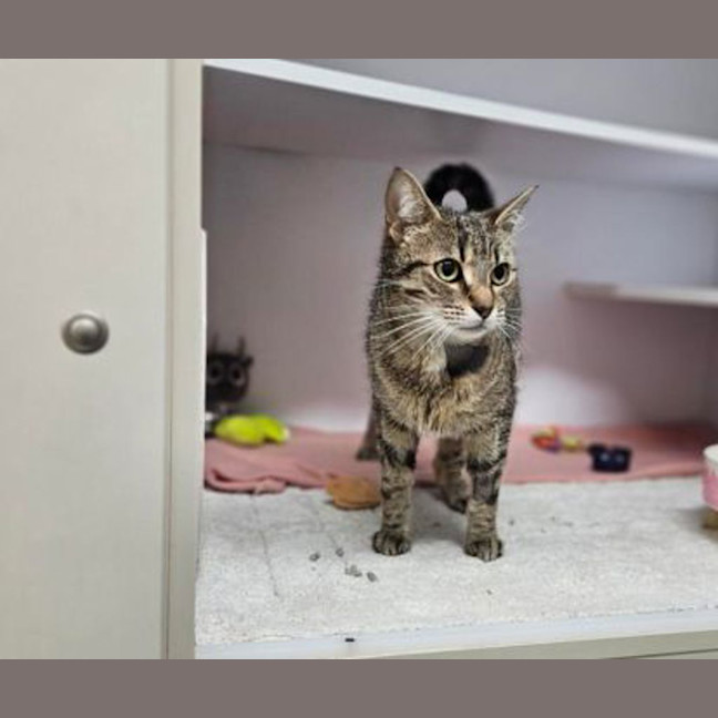 Photo of Eggnogatha Christie