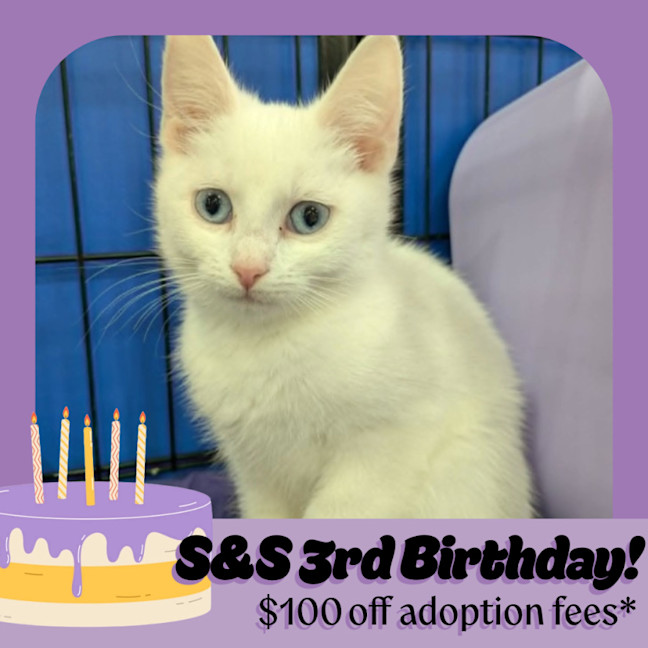 Photo of Frosted Flakes 