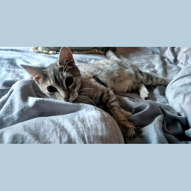 Photo of Rain (8959)