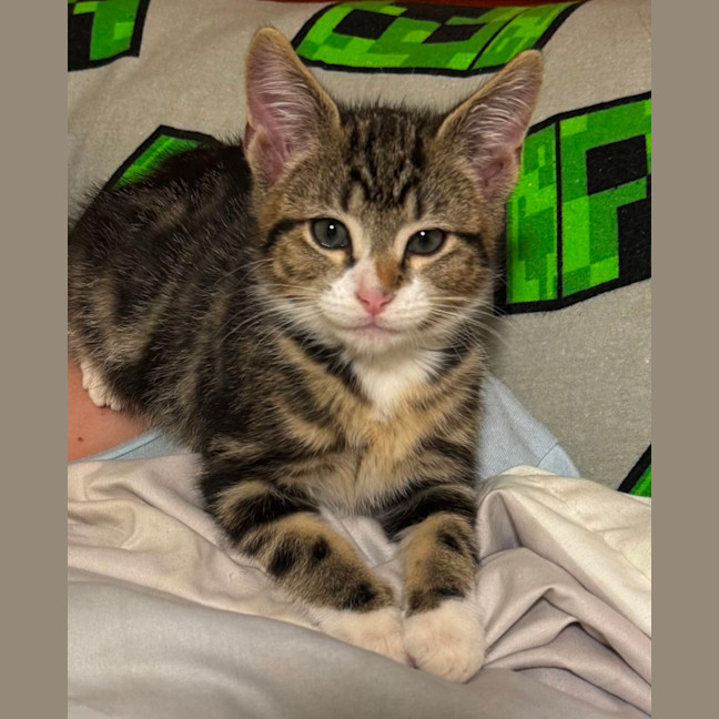 Photo of Luigi