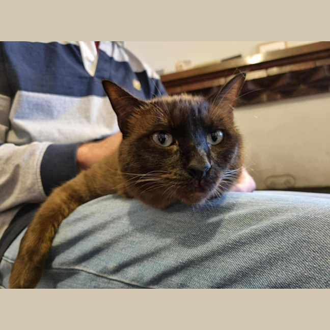 Photo of Frankie & Freddy   Located In Preston