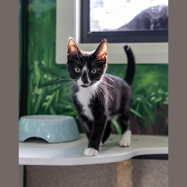 Photo of Mike Wazowski