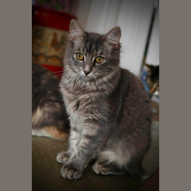 Photo of Lucy 