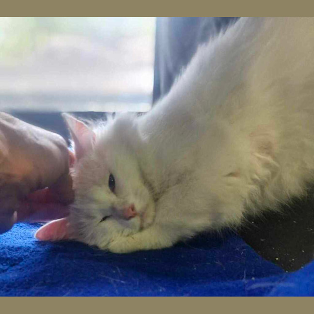 Photo of Grandpa Max