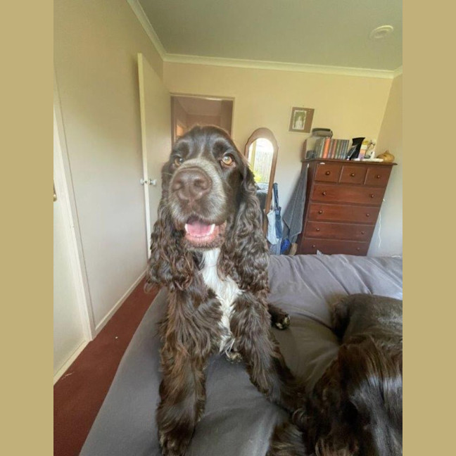 Photo of Khai Illingworth