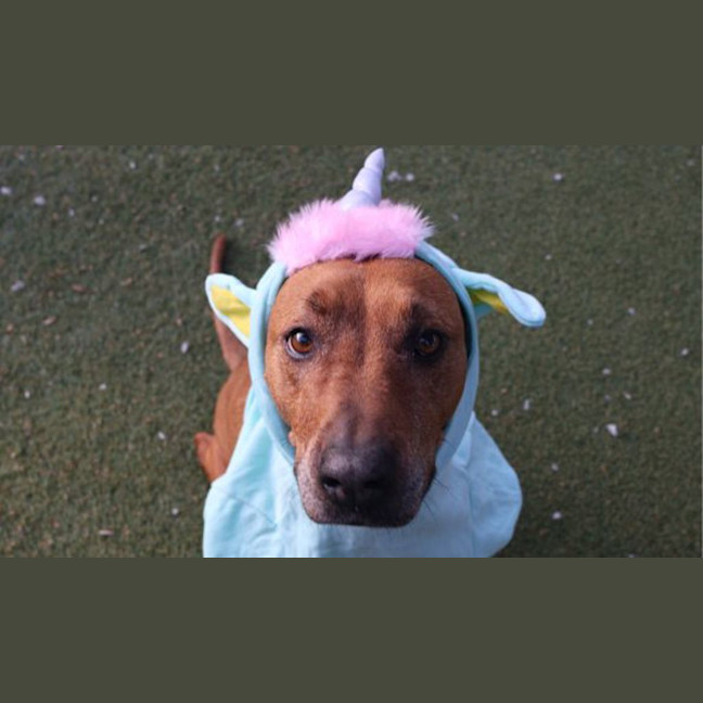 Photo of Cleo
