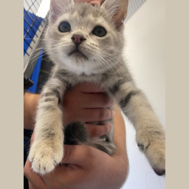 Photo of Valerie And Veronica