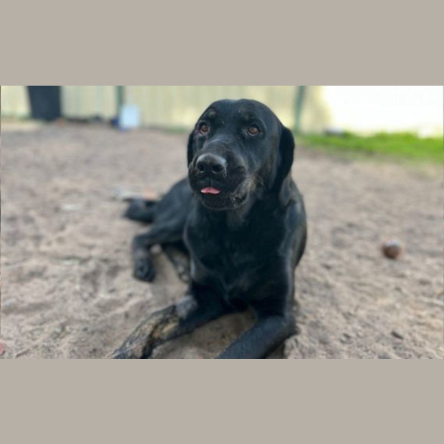 Photo of Ellie