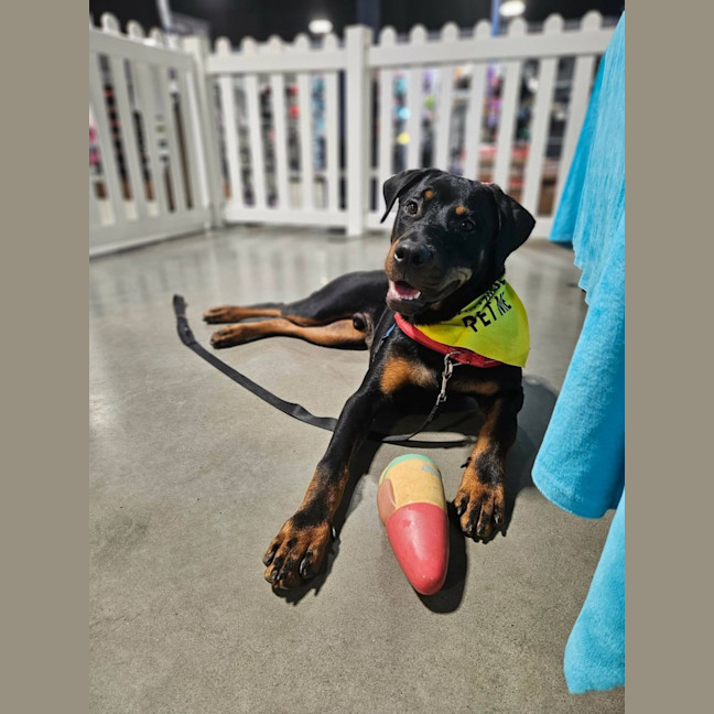 Photo of Murphy