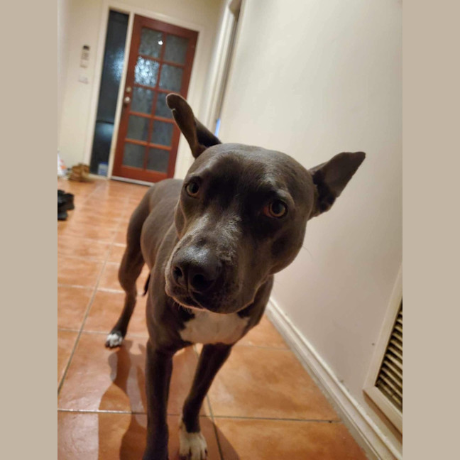 Photo of Lily