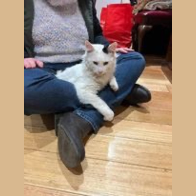 Photo of Chester