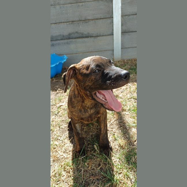 Photo of Chuggy