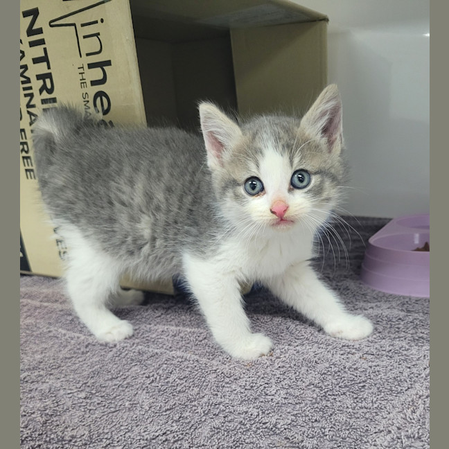 Photo of Stormy