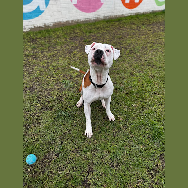 Photo of Sully