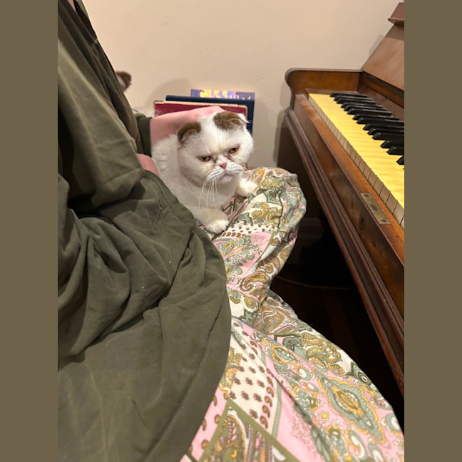 Photo of Moji