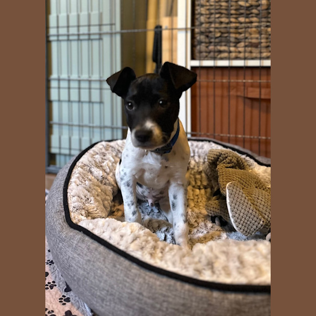 Photo of Iceman