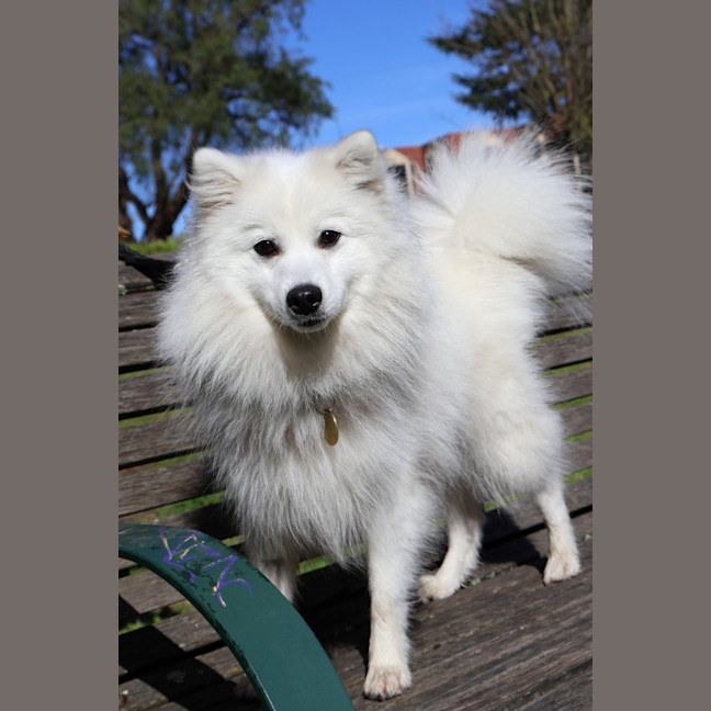 Photo of Tsuki