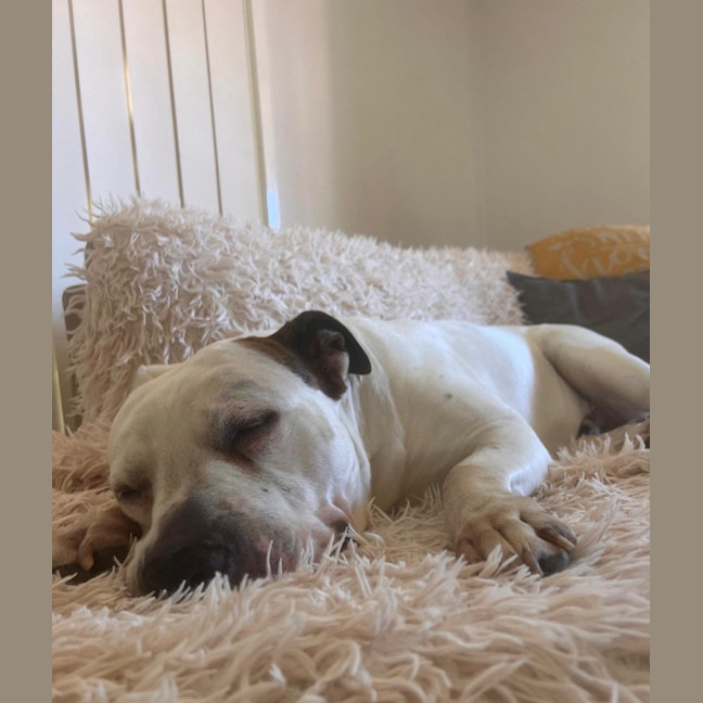 Photo of Turbo
