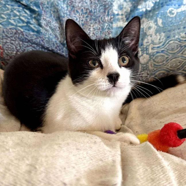 Photo of Cee Cee   Located In Eltham