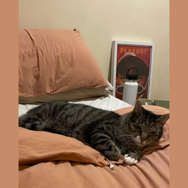 Photo of Henry