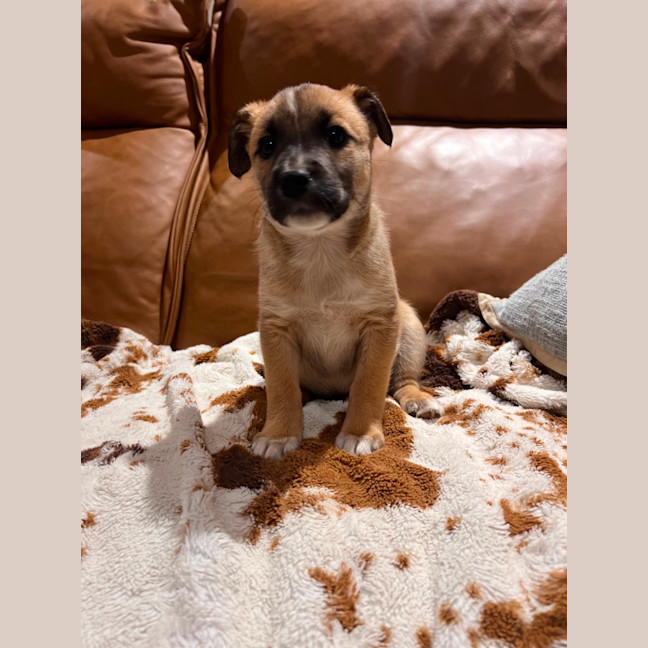 Photo of Athena 