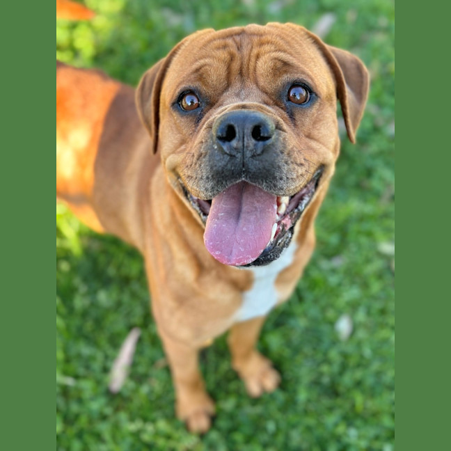 Photo of Nova