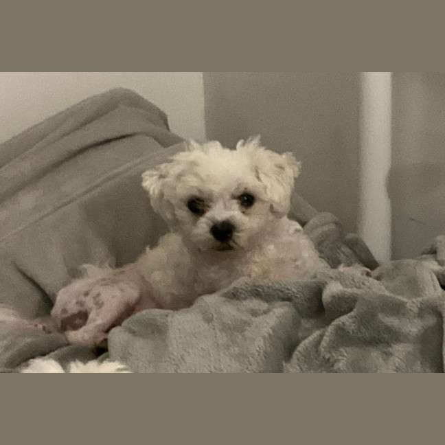 Photo of Rory & Lorie