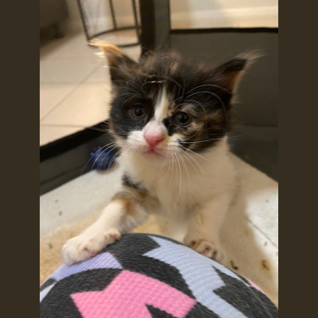 Photo of Hadley Parker