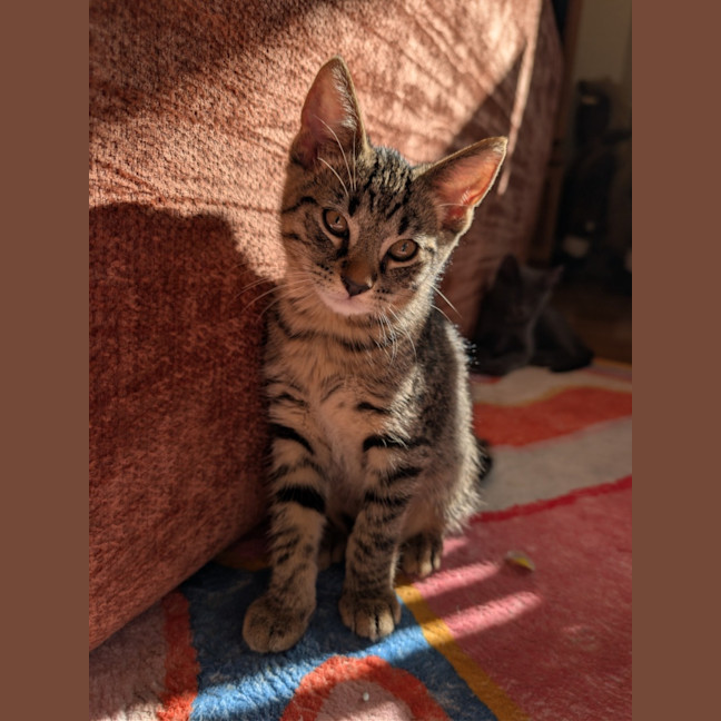 Photo of Tim Tam
