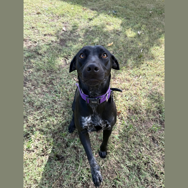 Photo of Luna