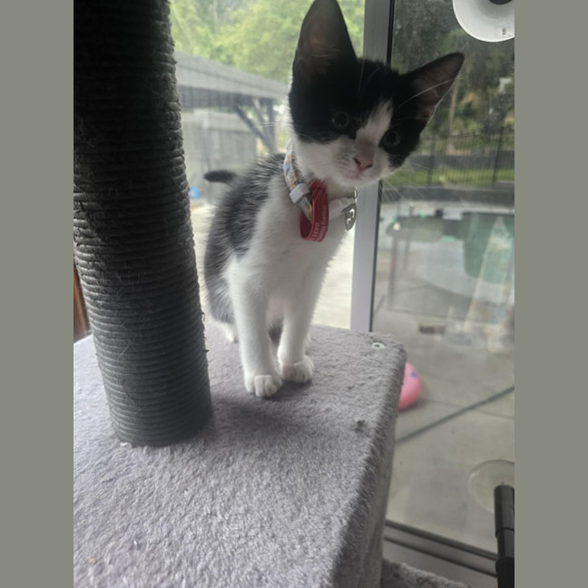 Photo of Jackie Chan