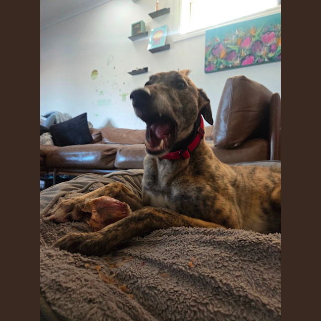 Photo of Skye