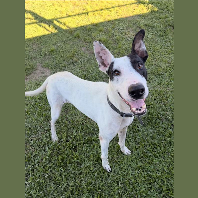 Photo of Aero