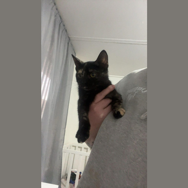 Photo of Chilli Bean