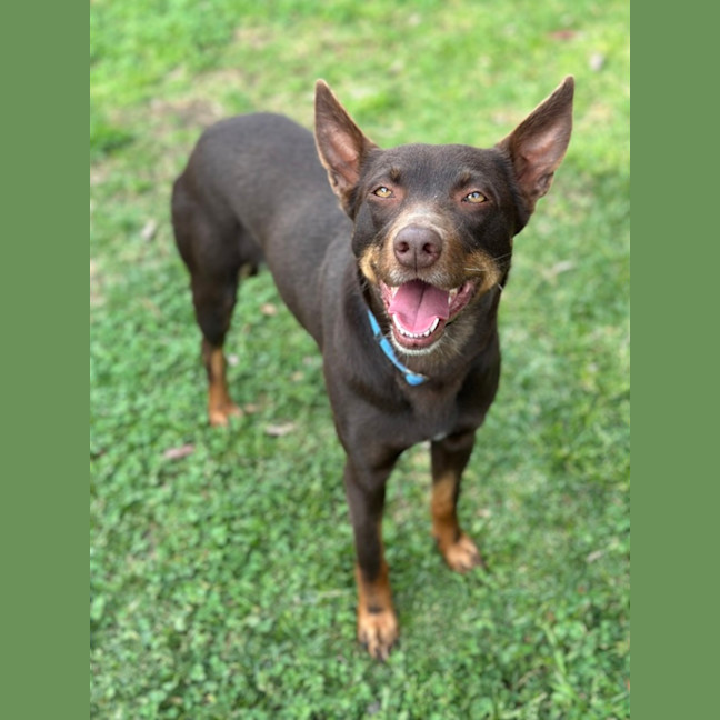 Photo of Billie Jean