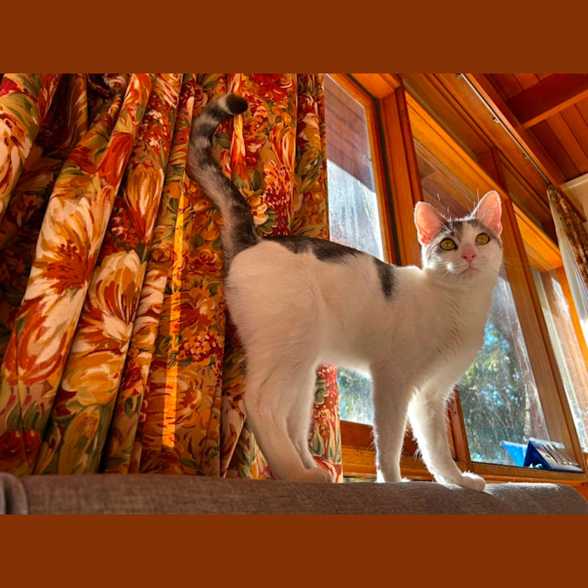 Photo of Billy