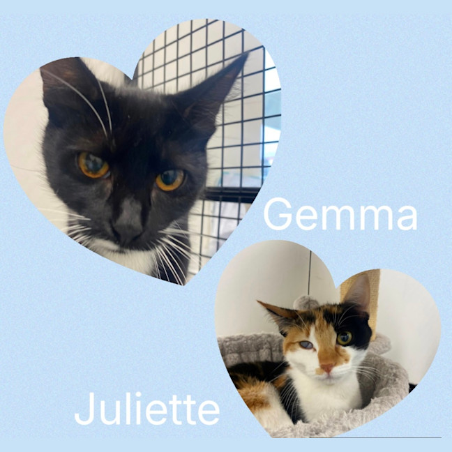 Photo of Gemma And Juliette