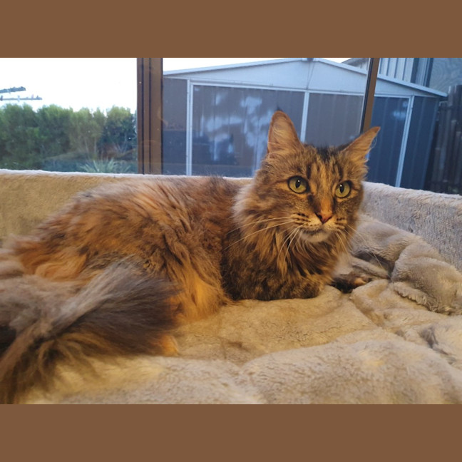 Photo of Nina O’cleary