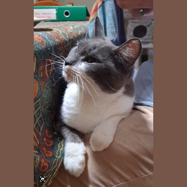 Photo of Missy