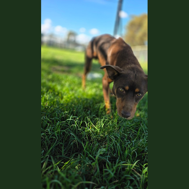 Photo of Max