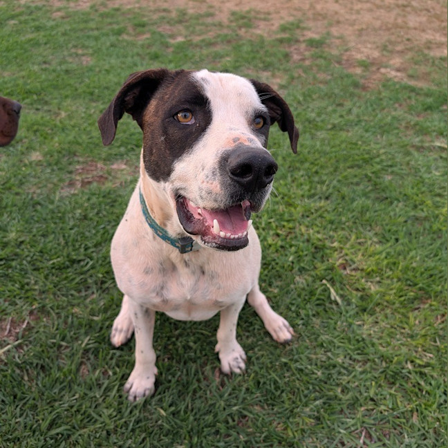 Photo of Chunk