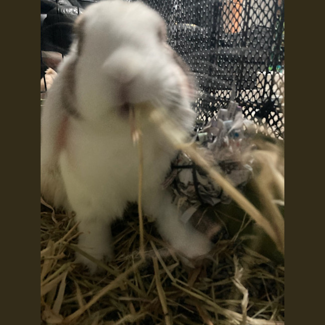 Photo of Aluna & Abby