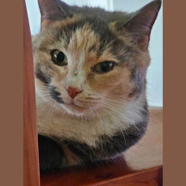 Photo of Charlie 