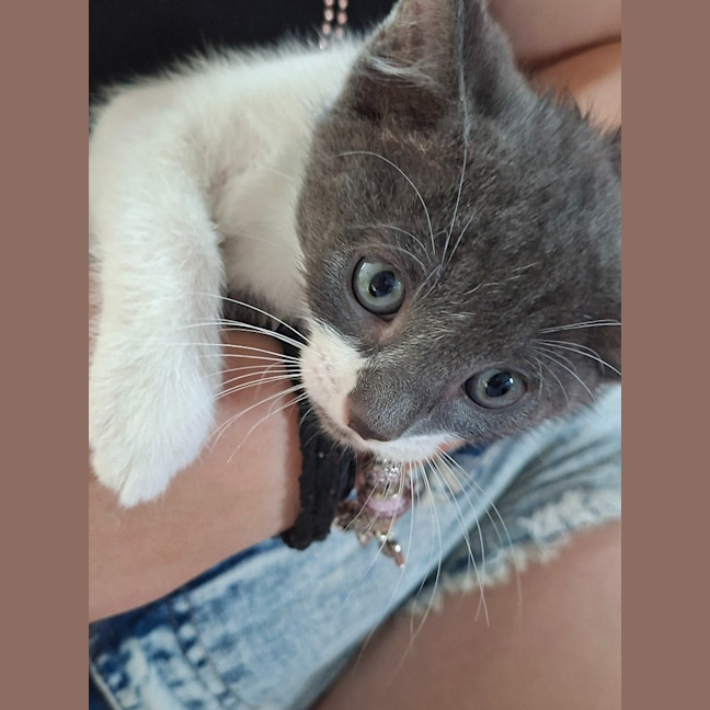 Photo of Jamie (K66)