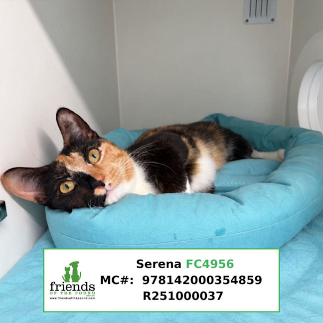 Photo of Serena