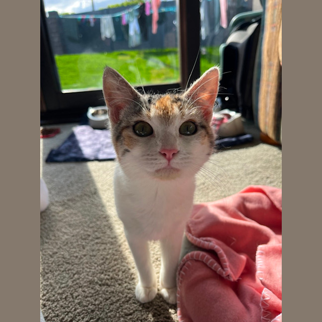 Photo of Paquita (Keeta)